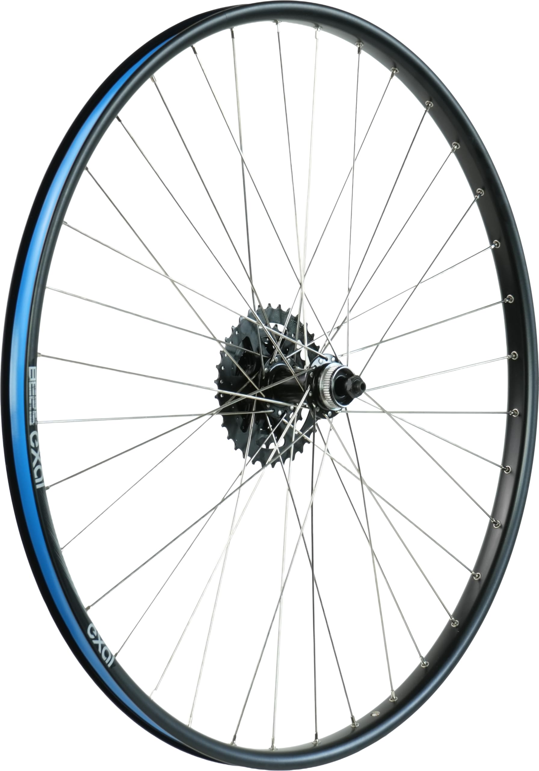 XB3 Hinterrad 28 Zoll mit 8-fach-Kassette | Center Lock | ETRTO 25-622 – Bild 3